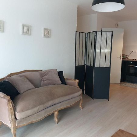 Le Savoie Appartement 2 Chambres 3 Couchages ,Balcon Et Parking Prive Bellegarde-sur-Valserine Exteriör bild